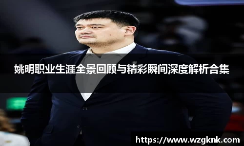 姚明职业生涯全景回顾与精彩瞬间深度解析合集